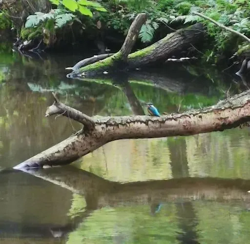 Apartamento Jürjens Hof Im Schlaubetal Grunow-Dammendorf