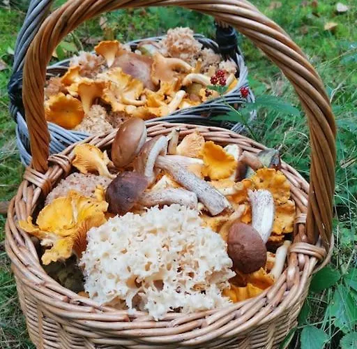 Apartamento Jürjens Hof Im Schlaubetal