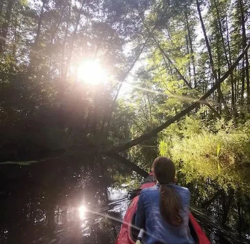 Jürjens Hof Im Schlaubetal Apartamento