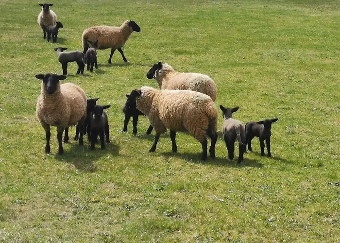 Apartamento Jürjens Hof Im Schlaubetal *