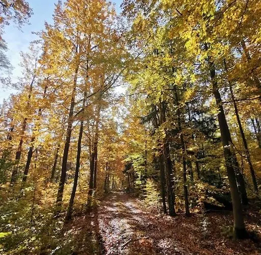 Apartamento Jürjens Hof Im Schlaubetal *